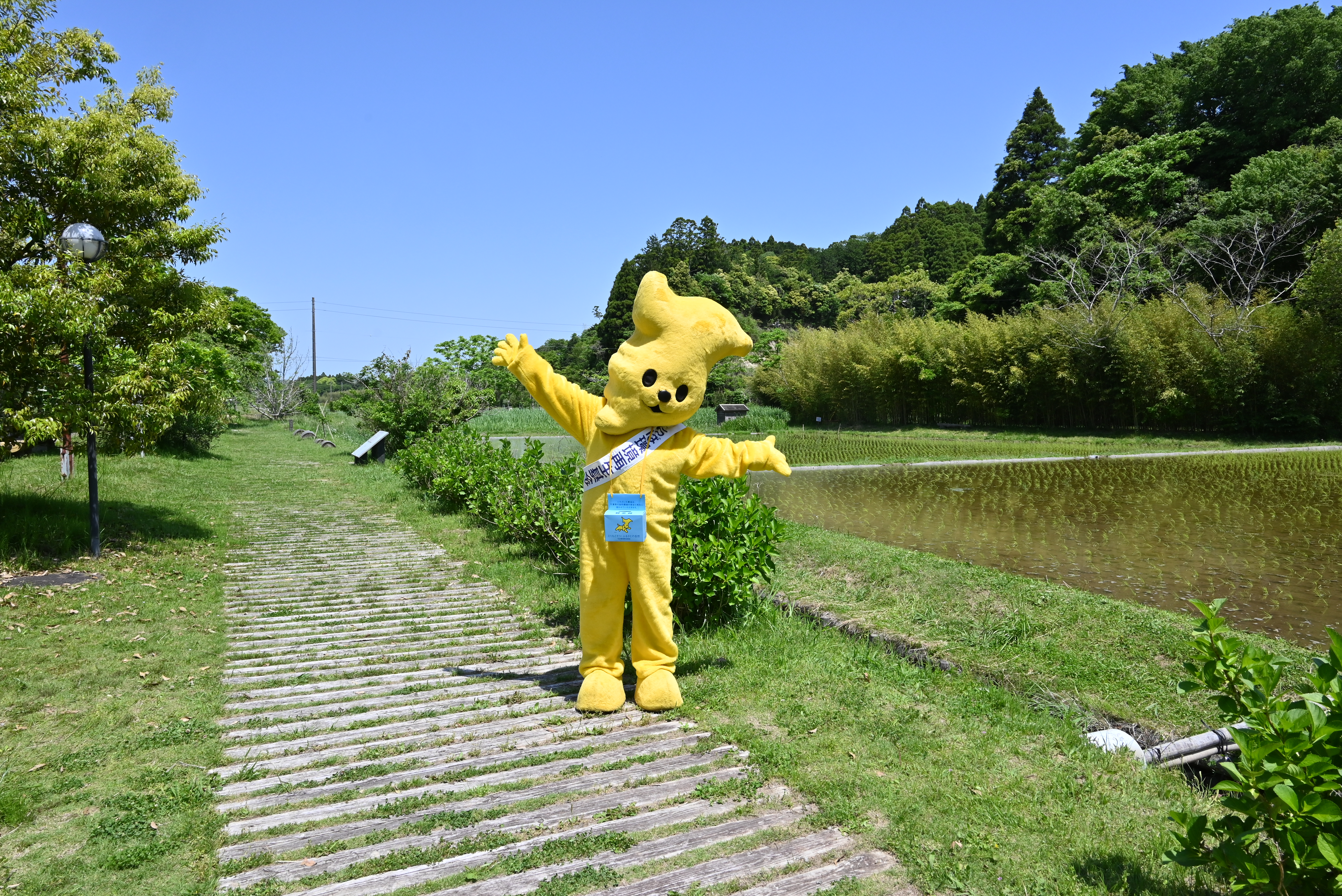 ５月5日こどもの日